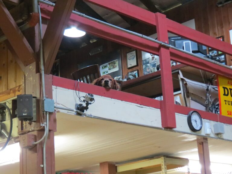 the-creative-workshop-our-team-0110