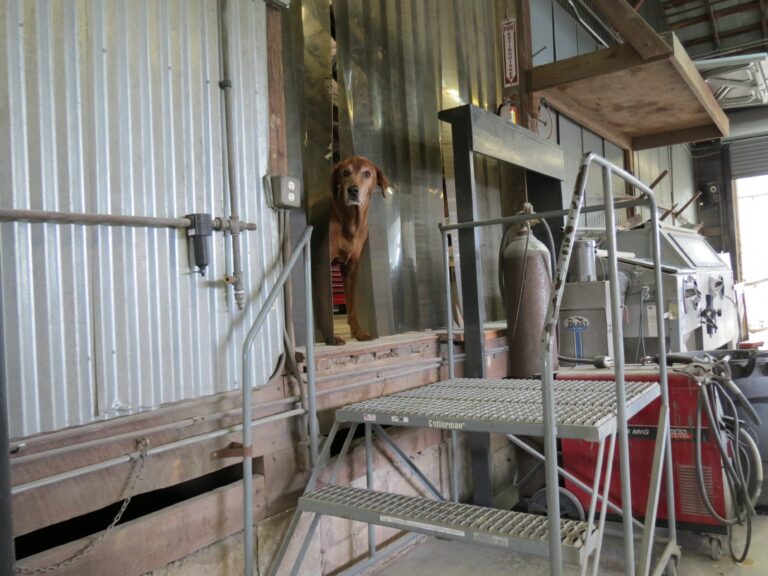 the-creative-workshop-our-team-0175